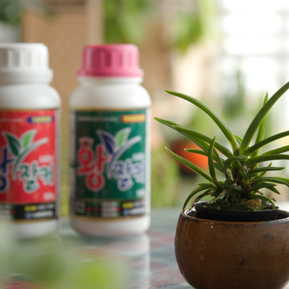 [식물박사] 김일호 왕잘커 7종 세트 식물영양제 액체비료 식물 보약제