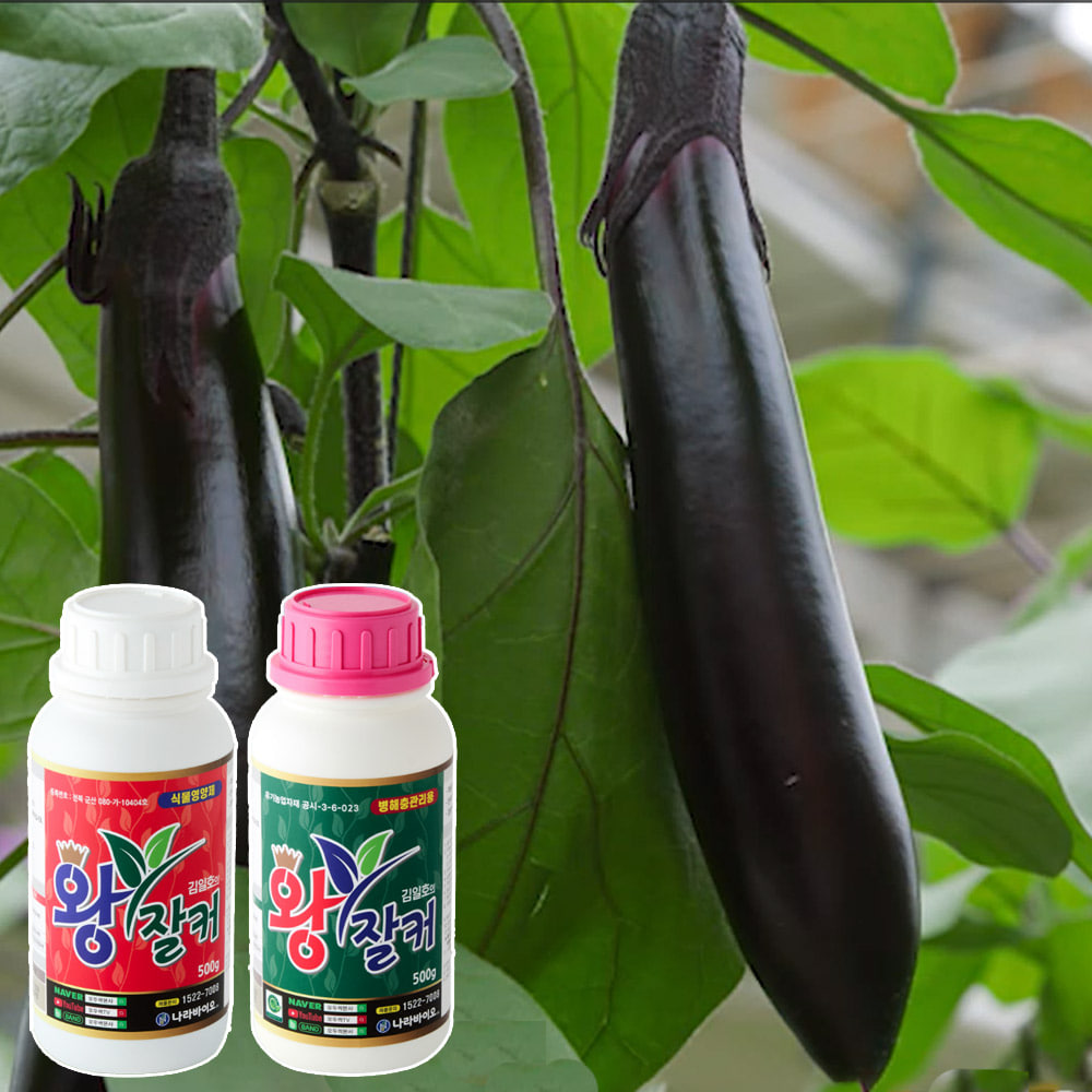 [식물박사] 김일호 왕잘커 7종 세트 식물영양제 액체비료 식물 보약제
